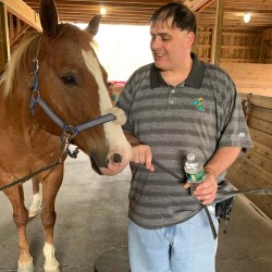brown horse beside a man